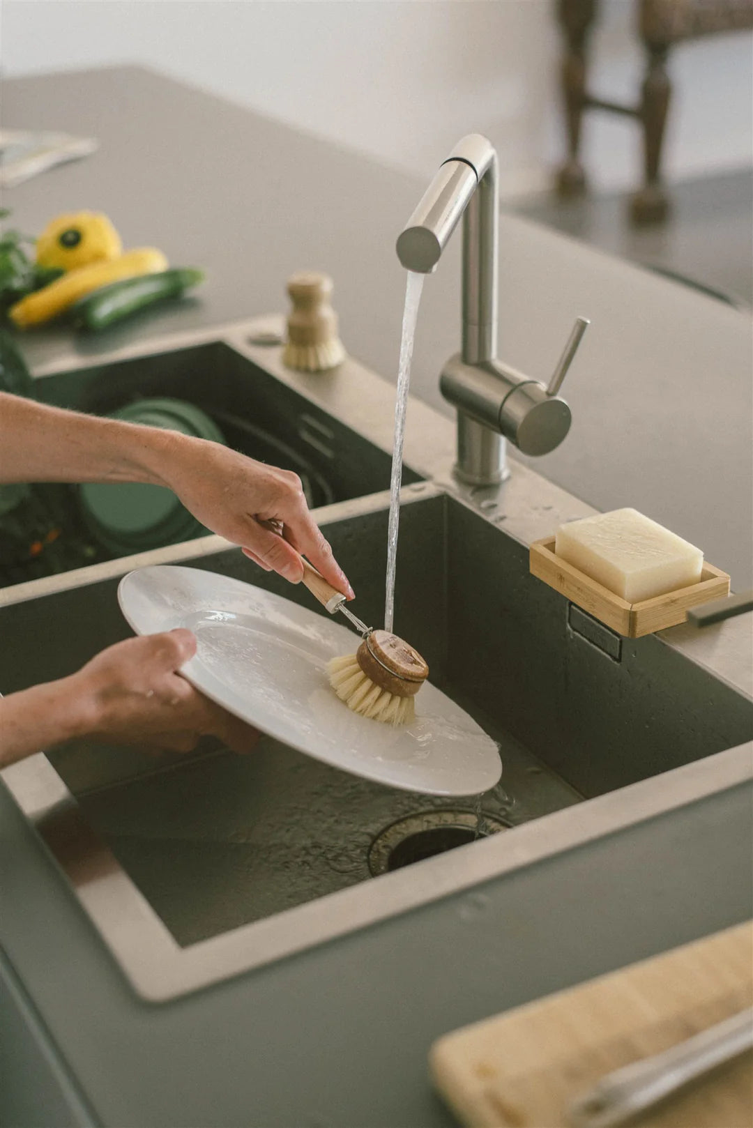 Long Handle Brush