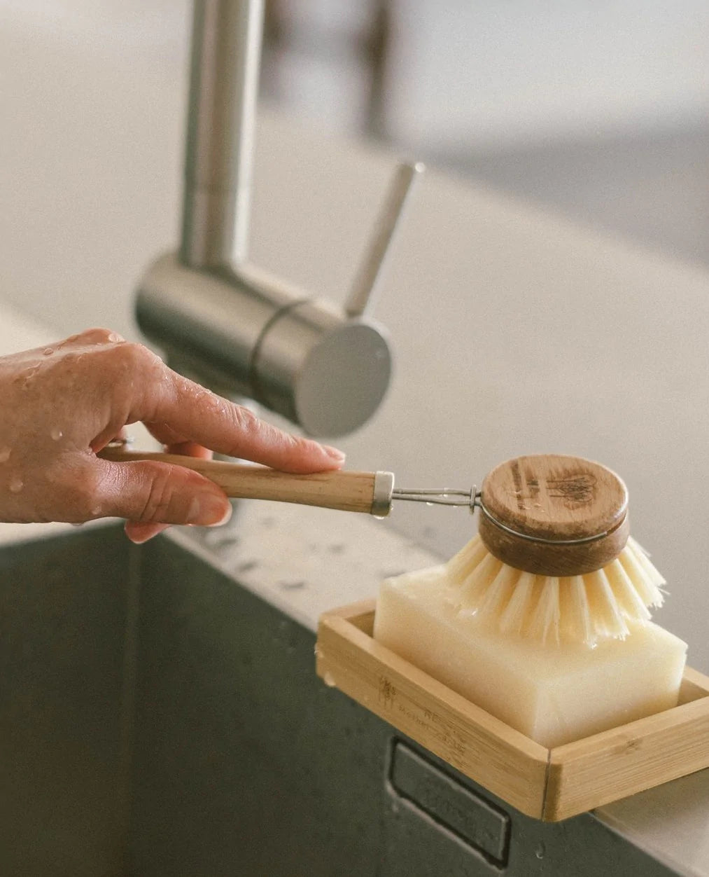 Long Handle Brush