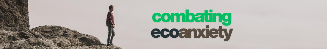 Renewed Intentions: Combating Eco-Anxiety with Small, Meaningful Actions