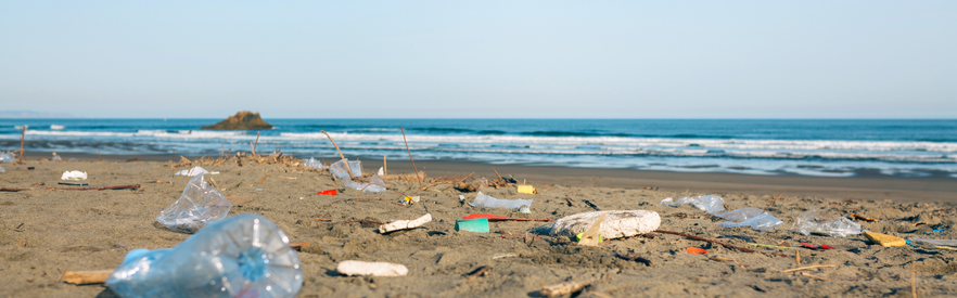 Landfills and Remembering Our Collective Responsibility