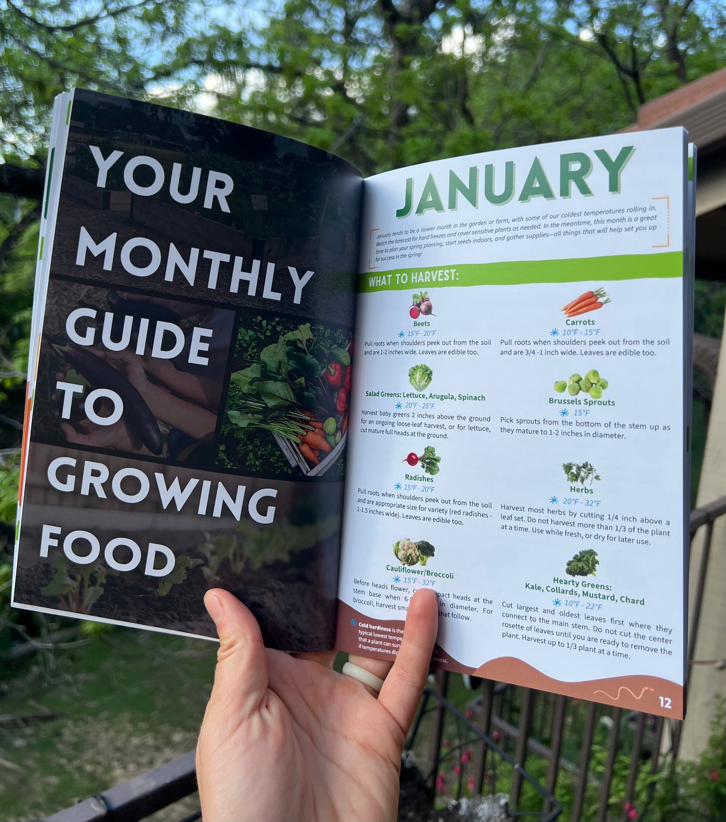 NTX Growing Guide - a Handbook