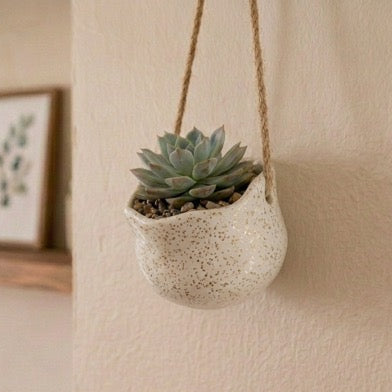 Pottery Workshop - Make a Sparkling Hanging Planter