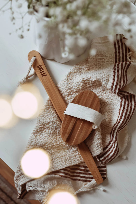 Body Brush with Long Handle
