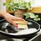 Multipurpose Brush