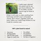 Castile Soap - Unscented