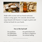 Liquid Dish Soap - Unscented