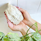 Soap Saver & Exfoliating Pouch